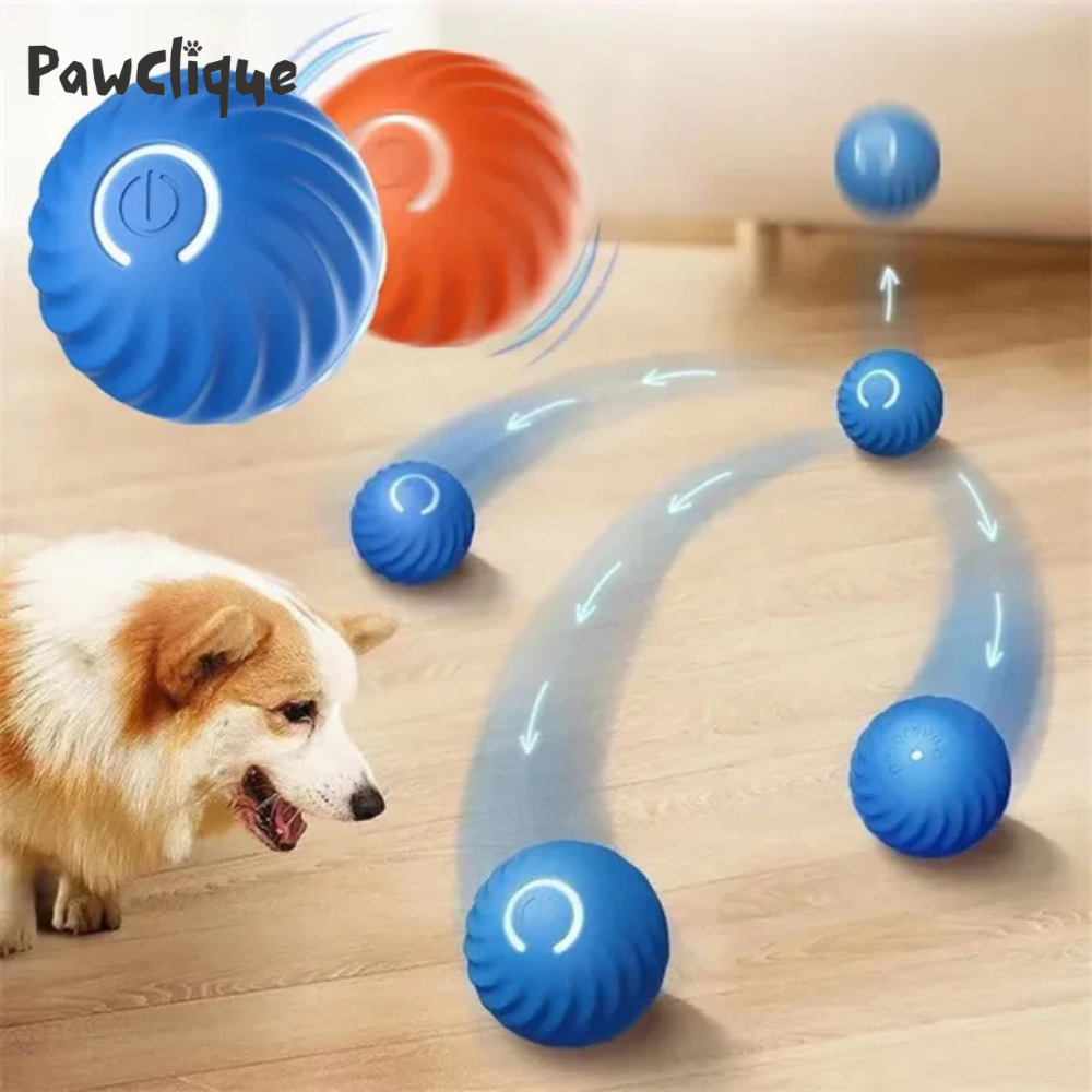 PawMotion Ball™