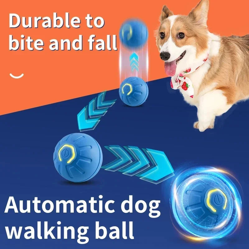 PawMotion Ball™