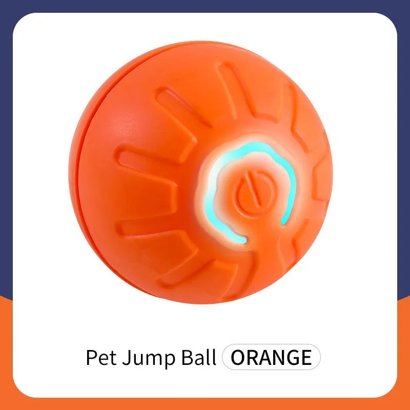 PawMotion Ball™